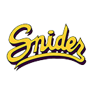 Team logo