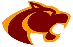 Team logo