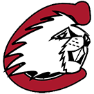 Team 2 logo