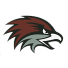 Team 1 logo