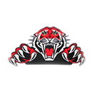 Team 1 logo
