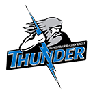 Team logo
